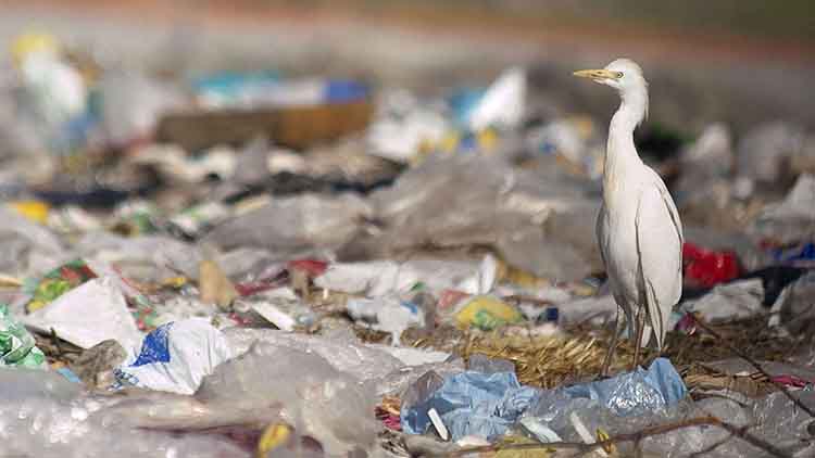 plastic-pollution-on-earth