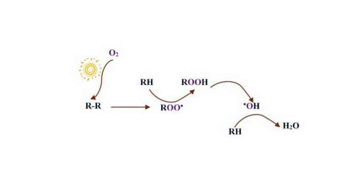 plastics-biodegradable-theory