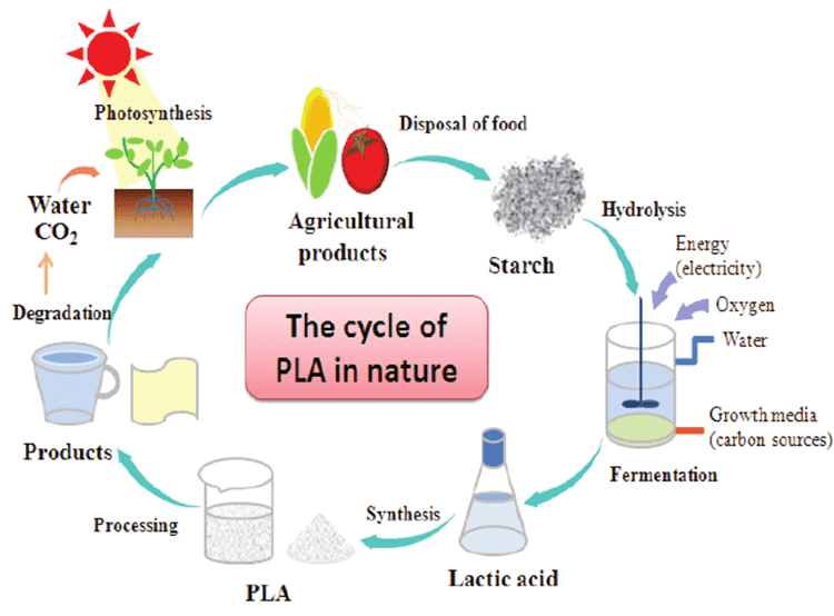 cycle-of-PLA-in-nature