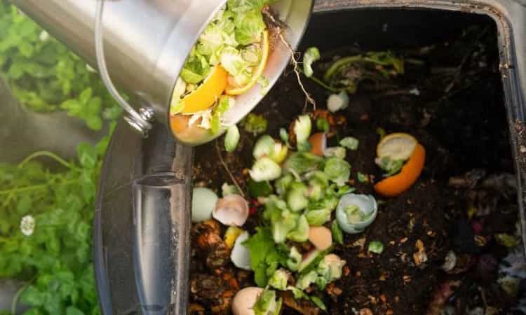 home-organic-composting-750-min