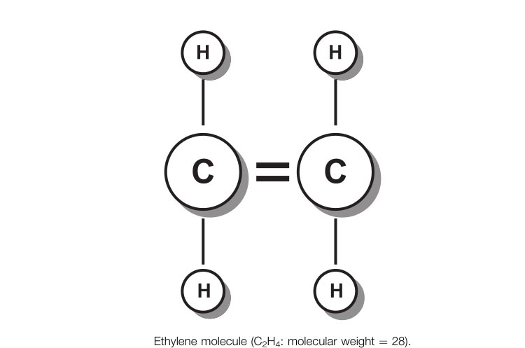ethylene-molecular