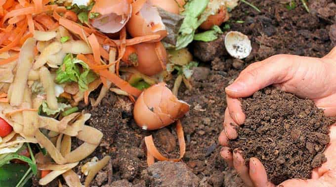 home-house-composting